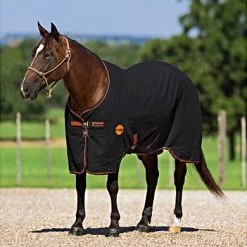 Rambo Ionic Stable Sheet Black/Black & Orange Stripe -Paardensport kortingswinkel 44488700.657f45