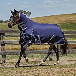 Weatherbeeta Lite Turnout Rug Plus Combo Neck Comfitec Essential 50g Navy/Silver/Red -Paardensport kortingswinkel 44638426.3cd444