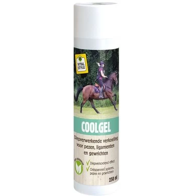 VITALstyle CoolGel 250ml 1 VITALstyle CoolGel 250ml