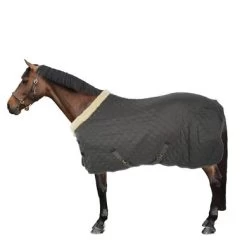 Kentucky Horsewear Kentucky Showdeken 160g Groen/Grijs -Paardensport kortingswinkel 44743427.5e4170