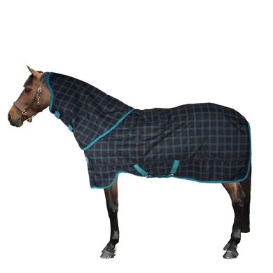 Amigo Pony Plus 50g ZwartCheck Teal/Zilver 2 Amigo Pony Plus 50g ZwartCheck Teal/Zilver - Afbeelding 2