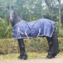 Premiere Regendeken All Year 600D 0g Dress Blue 17 Premiere Regendeken All Year 600D 0g Dress Blue -Paardensport kortingswinkel a1057550.803a09