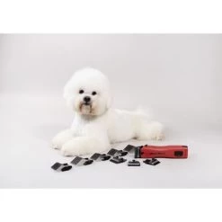 Aesculap Tondeuse Favorita CL GT206 + Extra Accu En Oplader 13 Aesculap Tondeuse Favorita CL GT206 + Extra Accu En Oplader -Paardensport kortingswinkel aesculap gt206 favorita cl 7.b14621