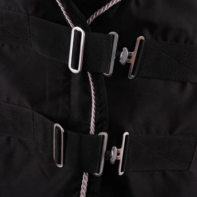 EQUITHÈME Zomerdeken Chic 0g Zwart/zilver 2 EQUITHÈME Zomerdeken Chic 0g Zwart/zilver - Afbeelding 2