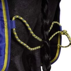 Tempest Staldeken Combo 100g Blauw 150/200 13 Tempest Staldeken Combo 100g Blauw 150/200 -Paardensport kortingswinkel agradi 44607907 4.50ab98