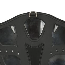 Zandona Springsingel Carbon Air Zwart 11 Zandona Springsingel Carbon Air Zwart -Paardensport kortingswinkel agradi 44667500 5.509c3b