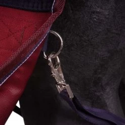 EQUITHÈME Outdoordeken Tyrex 1200D 50g Navy/Bordeaux 125/175 15 EQUITHÈME Outdoordeken Tyrex 1200D 50g Navy/Bordeaux 125/175 -Paardensport kortingswinkel agradi 44738664 5.b3bd56