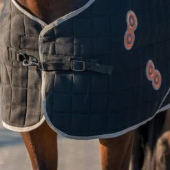 LeMieux Deken Conductive Magnotherapy Zwart -Paardensport kortingswinkel agradi 44756731 3.2da95c