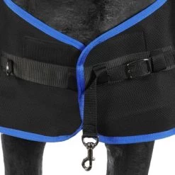Veredus Therapiedeken Magnetik Rug Zwart -Paardensport kortingswinkel agradi 44833520 2.c6ed2a