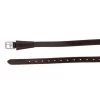 F.R.A. Stijgbeugelriemen 22mm Leer Bruin 125cm