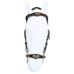 F.R.A. Hackamore Hoofdstel Imperial Softleder Teugels Havana 6 F.R.A. Hackamore Hoofdstel Imperial Softleder Teugels Havana -Paardensport kortingswinkel agradi 44874742 3.b3e9b9