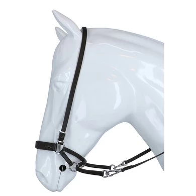 F.R.A. Bitloos Hoofdstel Janosch Bruin 1 F.R.A. Bitloos Hoofdstel Janosch Bruin