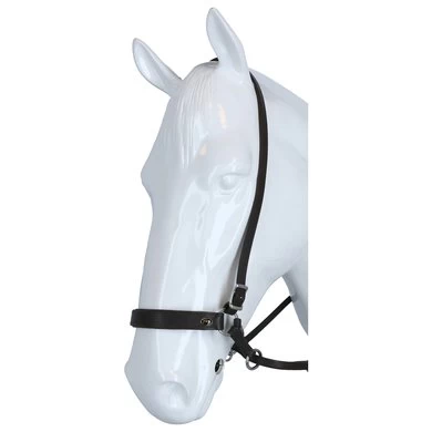 F.R.A. Bitloos Hoofdstel Janosch Bruin 2 F.R.A. Bitloos Hoofdstel Janosch Bruin - Afbeelding 2