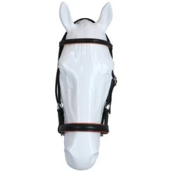 F.R.A. Bitloos Hoofdstel Pardoes Deluxe Side Pull Lederen Teugels Zwart/Oranje Cob 6 F.R.A. Bitloos Hoofdstel Pardoes Deluxe Side Pull Lederen Teugels Zwart/Oranje Cob -Paardensport kortingswinkel agradi 44874984 3.981015