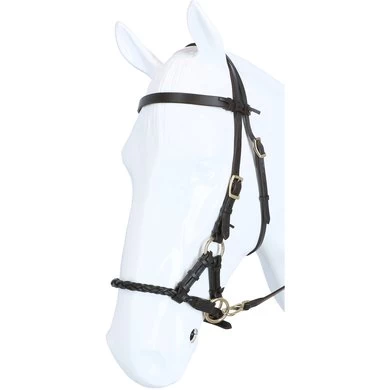 F.R.A. Bitloos Hoofdstel Pariba Side Pull Lederen Teugels Bruin/Brass Metal 2 F.R.A. Bitloos Hoofdstel Pariba Side Pull Lederen Teugels Bruin/Brass Metal - Afbeelding 2