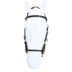 F.R.A. Bitloos Hoofdstel Pariba Side Pull Lederen Teugels Bruin/Brass Metal 6 F.R.A. Bitloos Hoofdstel Pariba Side Pull Lederen Teugels Bruin/Brass Metal -Paardensport kortingswinkel agradi 44875008 3.bc8a21