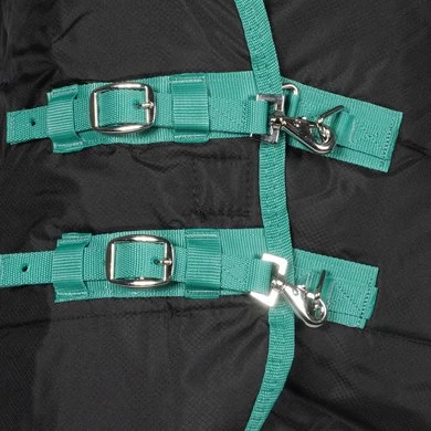 Weatherbeeta Staldeken Green-Tec Stable Combo Neck Medium/Lite 150D 150g Zwart/Bottle Green 2 Weatherbeeta Staldeken Green-Tec Stable Combo Neck Medium/Lite 150D 150g Zwart/Bottle Green - Afbeelding 2