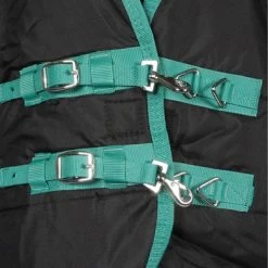 Weatherbeeta Staldeken Green-Tec Stable Combo Neck Medium/Lite 150D 150g Zwart/Bottle Green 14 Weatherbeeta Staldeken Green-Tec Stable Combo Neck Medium/Lite 150D 150g Zwart/Bottle Green -Paardensport kortingswinkel agradi 44881807 2.18917a