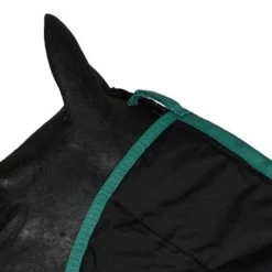 Weatherbeeta Staldeken Green-Tec Stable Combo Neck Medium/Lite 150D 150g Zwart/Bottle Green 16 Weatherbeeta Staldeken Green-Tec Stable Combo Neck Medium/Lite 150D 150g Zwart/Bottle Green -Paardensport kortingswinkel agradi 44881807 4.2a095c