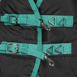 Weatherbeeta Staldeken Green-Tec Stable Medium/Lite 150D 150g Zwart/Bottle Green 14 Weatherbeeta Staldeken Green-Tec Stable Medium/Lite 150D 150g Zwart/Bottle Green -Paardensport kortingswinkel agradi 44881822 2.ef7414