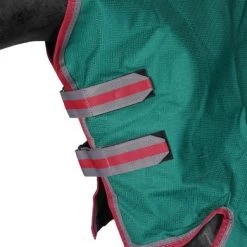 Weatherbeeta Regendeken Comfitec Plus Dynamic II Combo Neck Lite Groen/Grijs/Rood -Paardensport kortingswinkel agradi 45075397 3.5af753