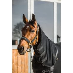 Back On Track Fleecedeken Supreme Zwart -Paardensport kortingswinkel bot 061a3148 bearbeitet.899509