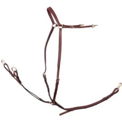 BR Voortuig Rayleigh Met Zadelriemen En Elastiek Tobacco Full