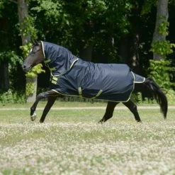 Bucas Oasis Turnout 200g & Neck Dark Grey/Lime