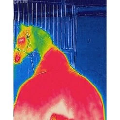 Bucas Therapy Mesh Cooler Navy/Orange -Paardensport kortingswinkel bucas recuptex after shot 4 hours 5 467x600.ce8276