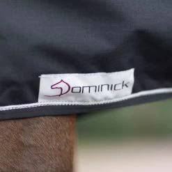 Dominick Staldeken 350g Navy/Wit 8 Dominick Staldeken 350g Navy/Wit -Paardensport kortingswinkel dominick staldeken zwart dom dominick stable rug black lite 5.6b0b9e