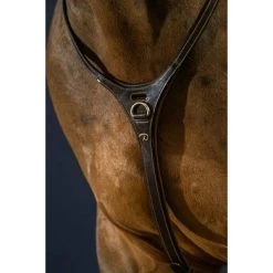 Dyon Martingaal Yoke Bruin -Paardensport kortingswinkel dyon yoke brun over d collection 3.103241