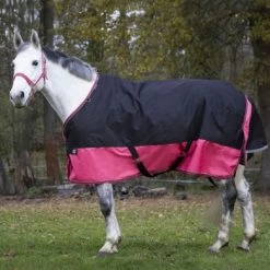 EQUITHÈME Outdoordeken Tyrex 1200D 50g Zwart/Framboos -Paardensport kortingswinkel ekk 400 926 663 ambi1.9622a9