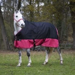 EQUITHÈME Outdoordeken Tyrex 1200D 50g Zwart/Framboos -Paardensport kortingswinkel ekk 400 926 663 ambi2.c63138