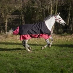 EQUITHÈME Outdoordeken Tyrex 1200D 50g Zwart/Framboos -Paardensport kortingswinkel ekk 400 926 663 ambi3.45e83f