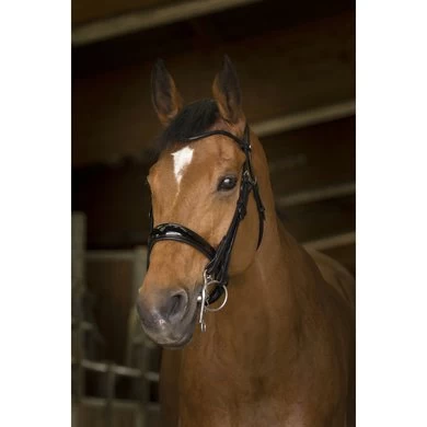 Norton Stang- En Trenshoofdstel Pro Rond Genaaid Zwart 1 Norton Stang- En Trenshoofdstel Pro Rond Genaaid Zwart