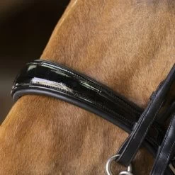 Norton Stang- En Trenshoofdstel Pro Rond Genaaid Zwart 6 Norton Stang- En Trenshoofdstel Pro Rond Genaaid Zwart -Paardensport kortingswinkel ekkia 303 031 302 det2.d1ff81