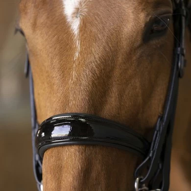 Norton Stang- En Trenshoofdstel Pro Rond Genaaid Zwart 4 Norton Stang- En Trenshoofdstel Pro Rond Genaaid Zwart - Afbeelding 4