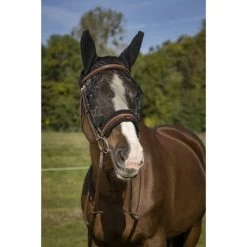 EQUITHÈME Vliegenmasker Anti-UV Training Zwart 9 EQUITHÈME Vliegenmasker Anti-UV Training Zwart -Paardensport kortingswinkel ekkia 306 920 203 ambi1.680f64