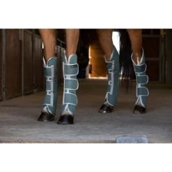 EQUITHÈME Transportbeschermers Tyrex 600D Gerecycled Groen -Paardensport kortingswinkel ekkia 400 780 003 ambi.b17a3d