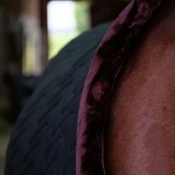 EQUITHÈME Staldeken Velvet Teddy Zwart -Paardensport kortingswinkel ekkia 400 825 263 det3.893a65