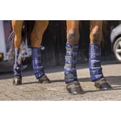 Riding World Transportbeschermers Laag Zwart Full -Paardensport kortingswinkel ekkia z05649 402 004 007 ambi1.53af3f