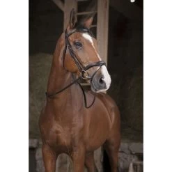 Norton Teugels Pro Supergrip Zwart Full