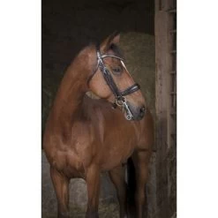 Norton Hoofdstel Pro Stang En Trens Zwart