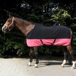 EQUITHÈME Fleecedeken Summer Zwart/Framboos 15 EQUITHÈME Fleecedeken Summer Zwart/Framboos -Paardensport kortingswinkel ekkia z06777 400 734 263.bebe9f