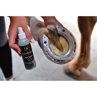 Excellence Hoefspray Hoof Expert Groen 150ml 2 Excellence Hoefspray Hoof Expert Groen 150ml - Afbeelding 2