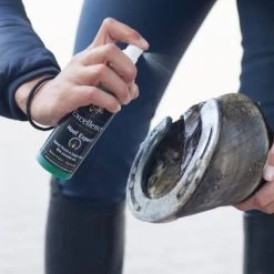 Excellence Hoefspray Hoof Expert Groen 150ml 6 Excellence Hoefspray Hoof Expert Groen 150ml -Paardensport kortingswinkel excellence hoof expert 2.78bb32