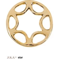 F.R.A. Hackamore Scharen Star Set Brass 8,5cm