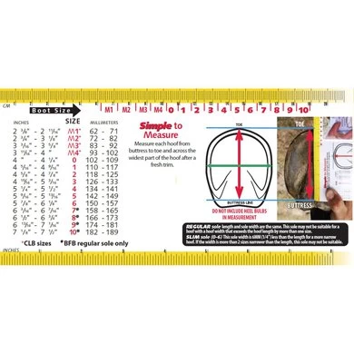 F.R.A. Cavallo Horse & Rider Hoefschoenen BFB Zwart 2 F.R.A. Cavallo Horse & Rider Hoefschoenen BFB Zwart - Afbeelding 2