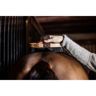 Grooming Deluxe By Kentucky Borstel Multifunctionele Hard 1 Grooming Deluxe By Kentucky Borstel Multifunctionele Hard