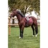 Harcour Zadeldekje Saopsa Dressuur Burgundy Full